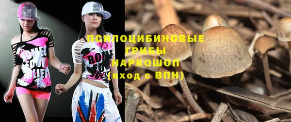 таблы Алзамай