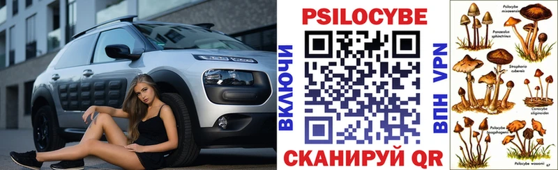 Псилоцибиновые грибы Psilocybine cubensis  Купить закладки  Трёхгорный 